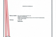 Scan6-1